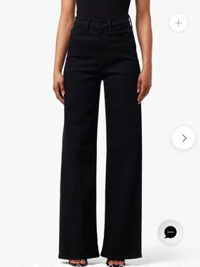 Joes jeans the Mia high rise wide leg